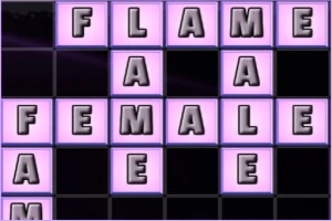 Bokstäver som bildar orden FLAME, FEMALE och MALE i ett rutnät med lila bakgrund