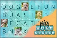 Ordsökbilder, pusslet för ordmästare!