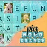 Ordgrid med bilder på djur som hund, anka, katt, och teddybjörn tillsammans med texten pics word search